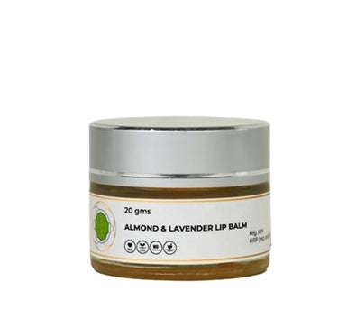 https://cdn.shopify.com/s/files/1/1857/6931/files/qDlWtSc5Am-360406.jpg?v=1736147108